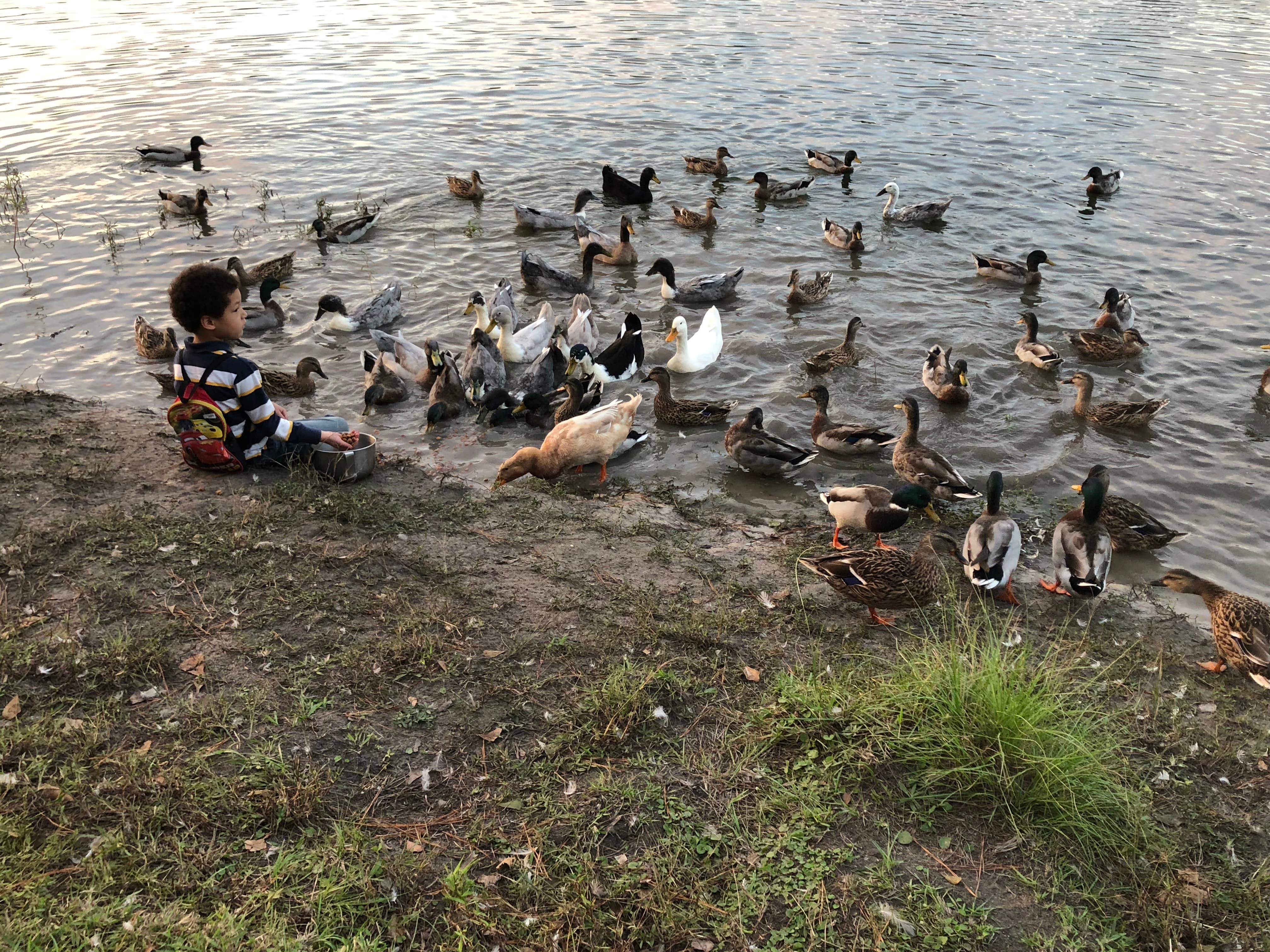 Camper submitted image from Lake Leamon Family Campground - 5