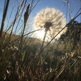 Review photo of Gros Ventre Campground — Grand Teton National Park by Stephanie Z., August 23, 2016
