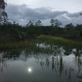 Review photo of Skidaway Island State Park Campground by Ashlee L., November 9, 2018