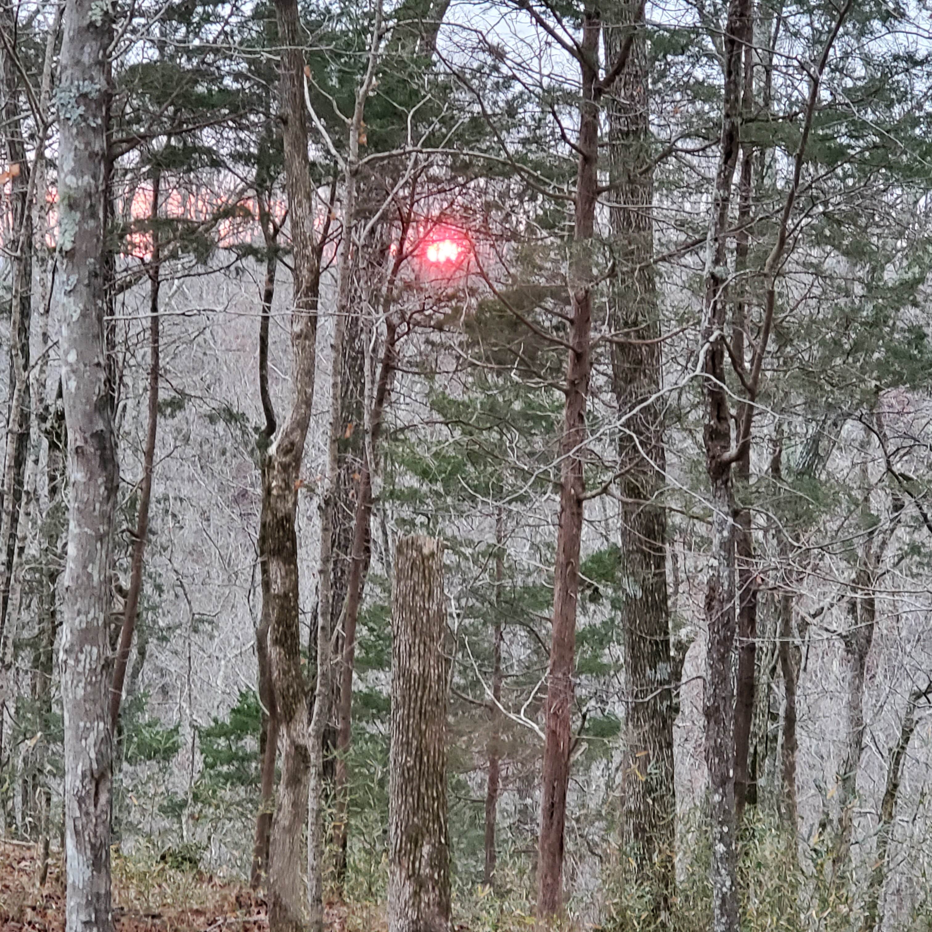 Camper-submitted photo at Tuscarora Glade near Burkesville, KY