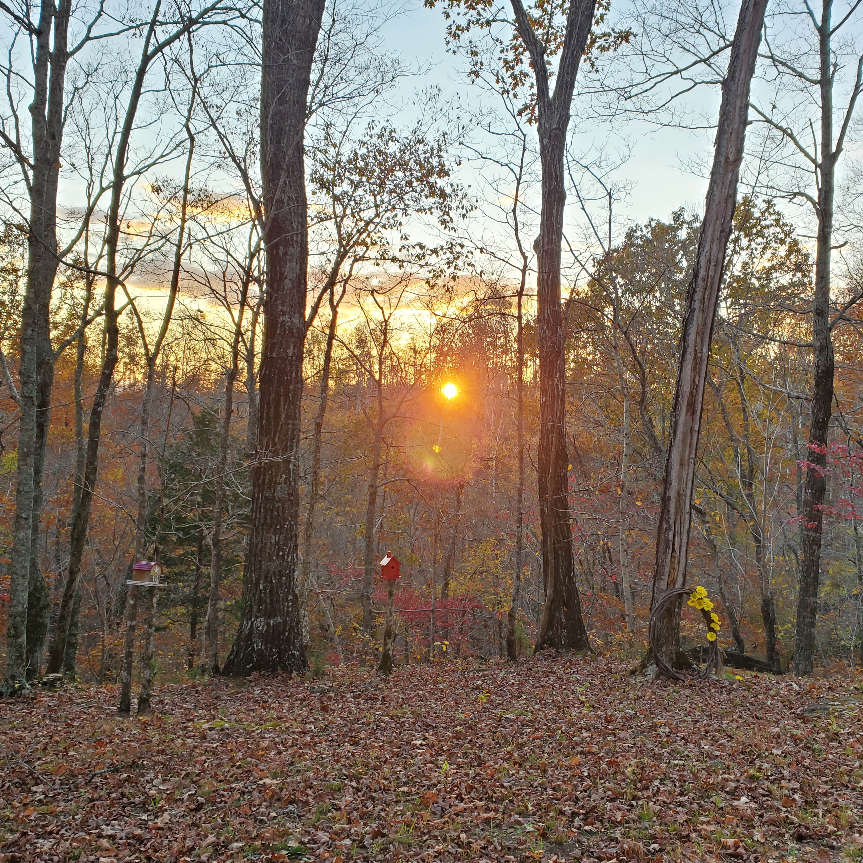 Camper-submitted photo at Tuscarora Glade near Burkesville, KY