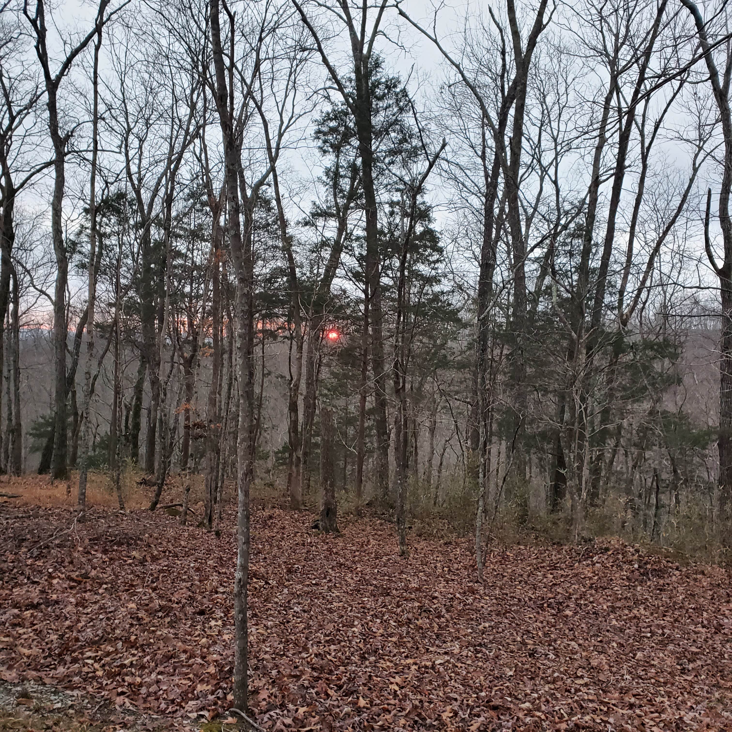 Camper-submitted photo at Tuscarora Glade near Burkesville, KY