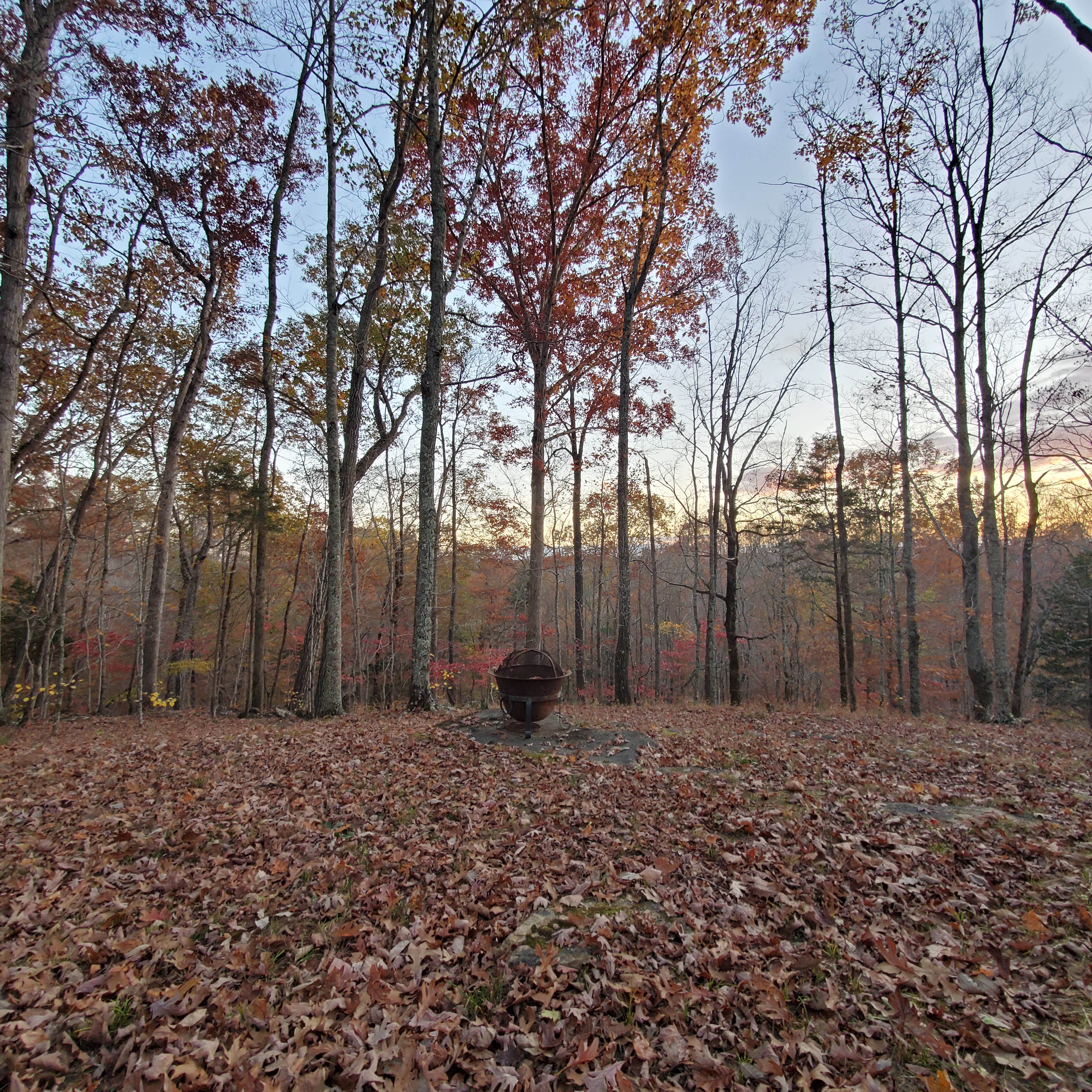 Camper-submitted photo at Tuscarora Glade near Byrdstown, TN