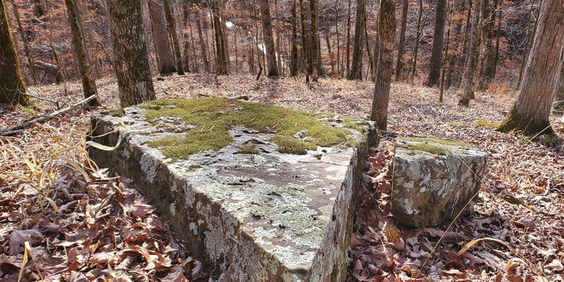 Camper submitted image from Tuscarora Glade