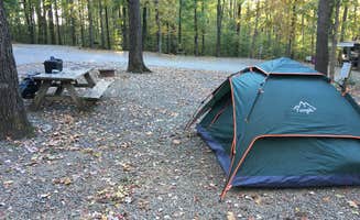 Ashlee L.'s photo at Misty Mountain Camp Resort near Palmyra, VA