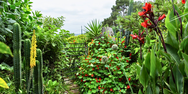 Camper submitted image from Camp at the Historic Zorthian Ranch