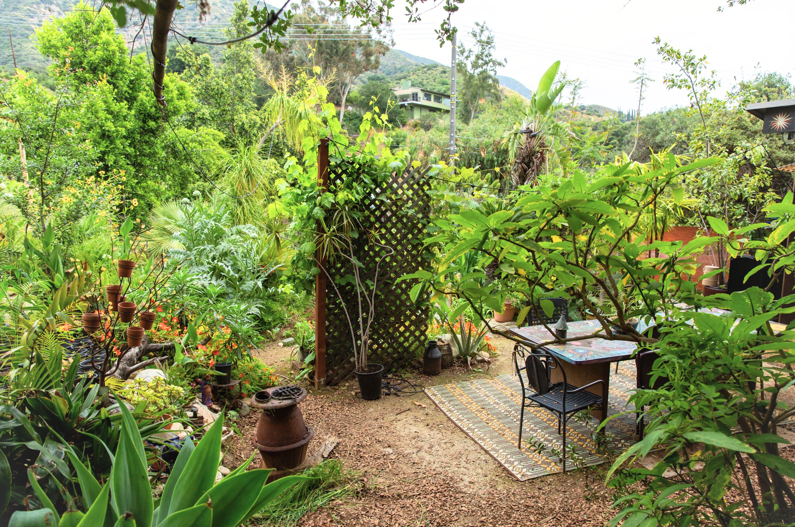Camper-submitted photo at Camp at the Historic Zorthian Ranch near West Hollywood, CA