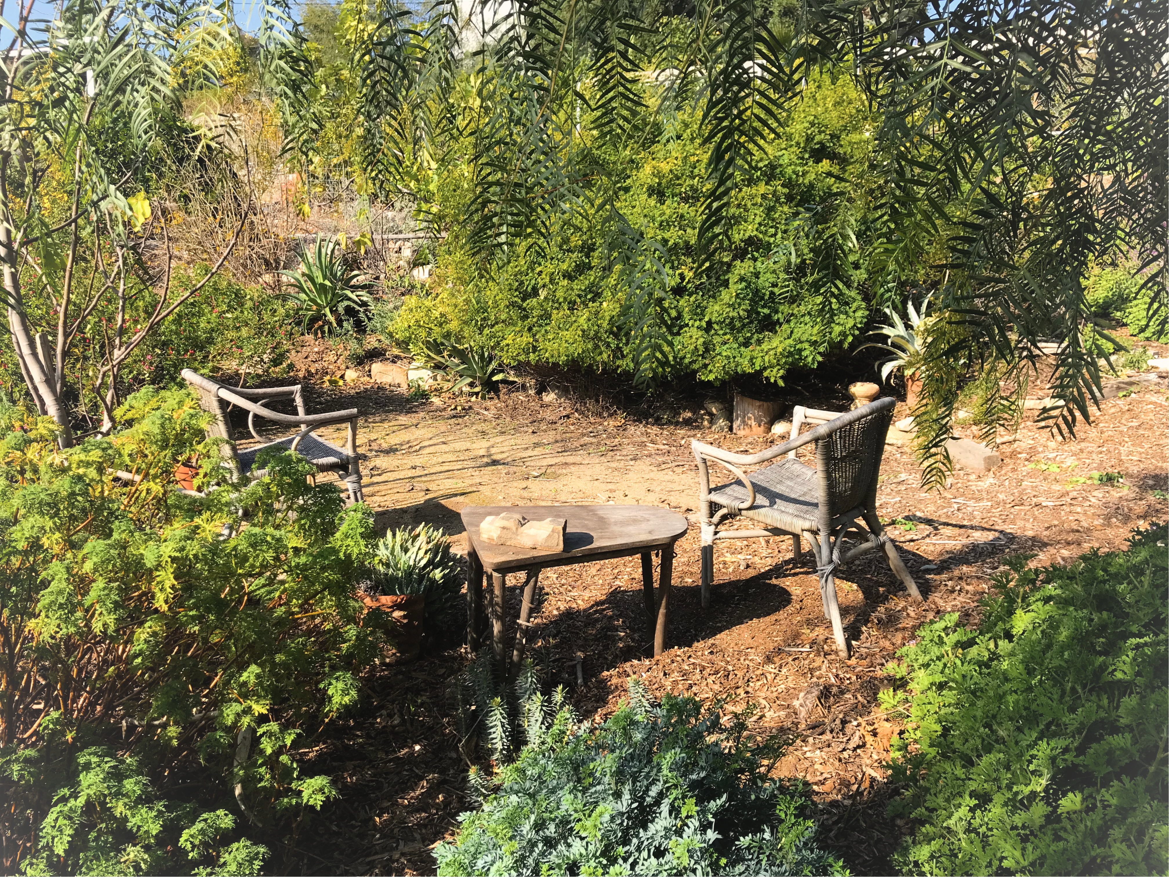 Camper-submitted photo at Camp at the Historic Zorthian Ranch near West Hollywood, CA