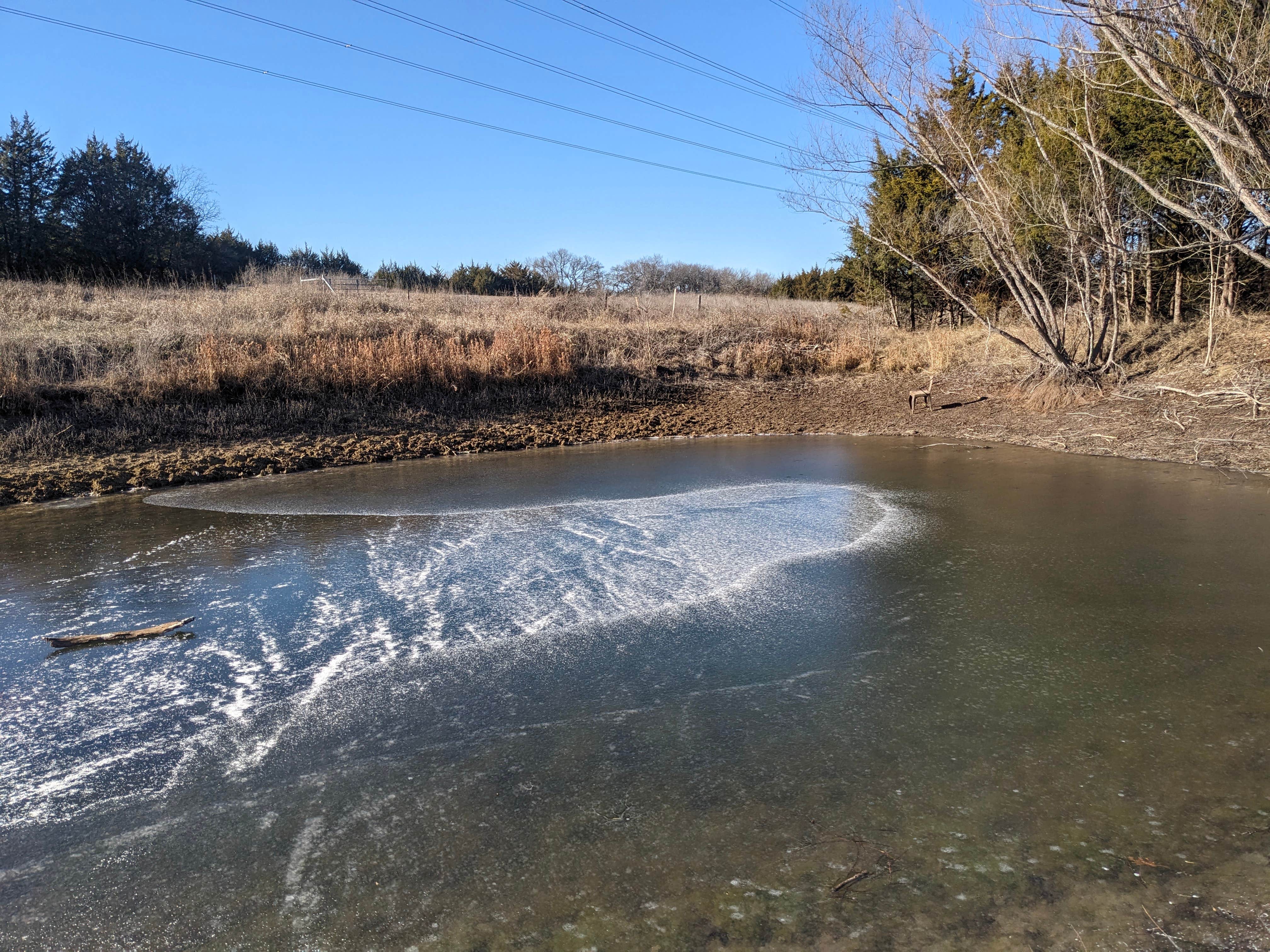 Camper-submitted photo at Lazy Days near Bonham, TX