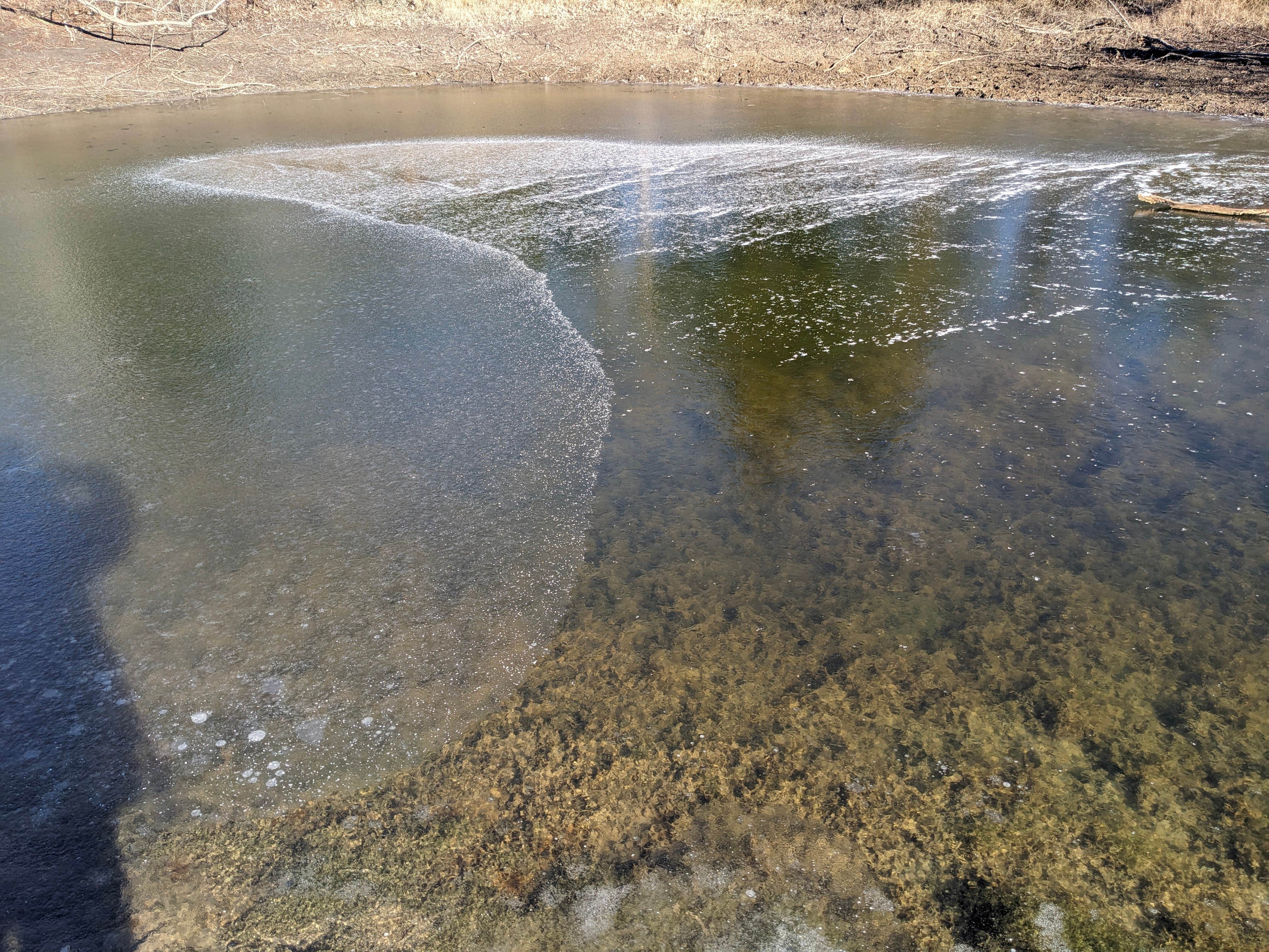 Camper-submitted photo at Lazy Days near Bonham, TX