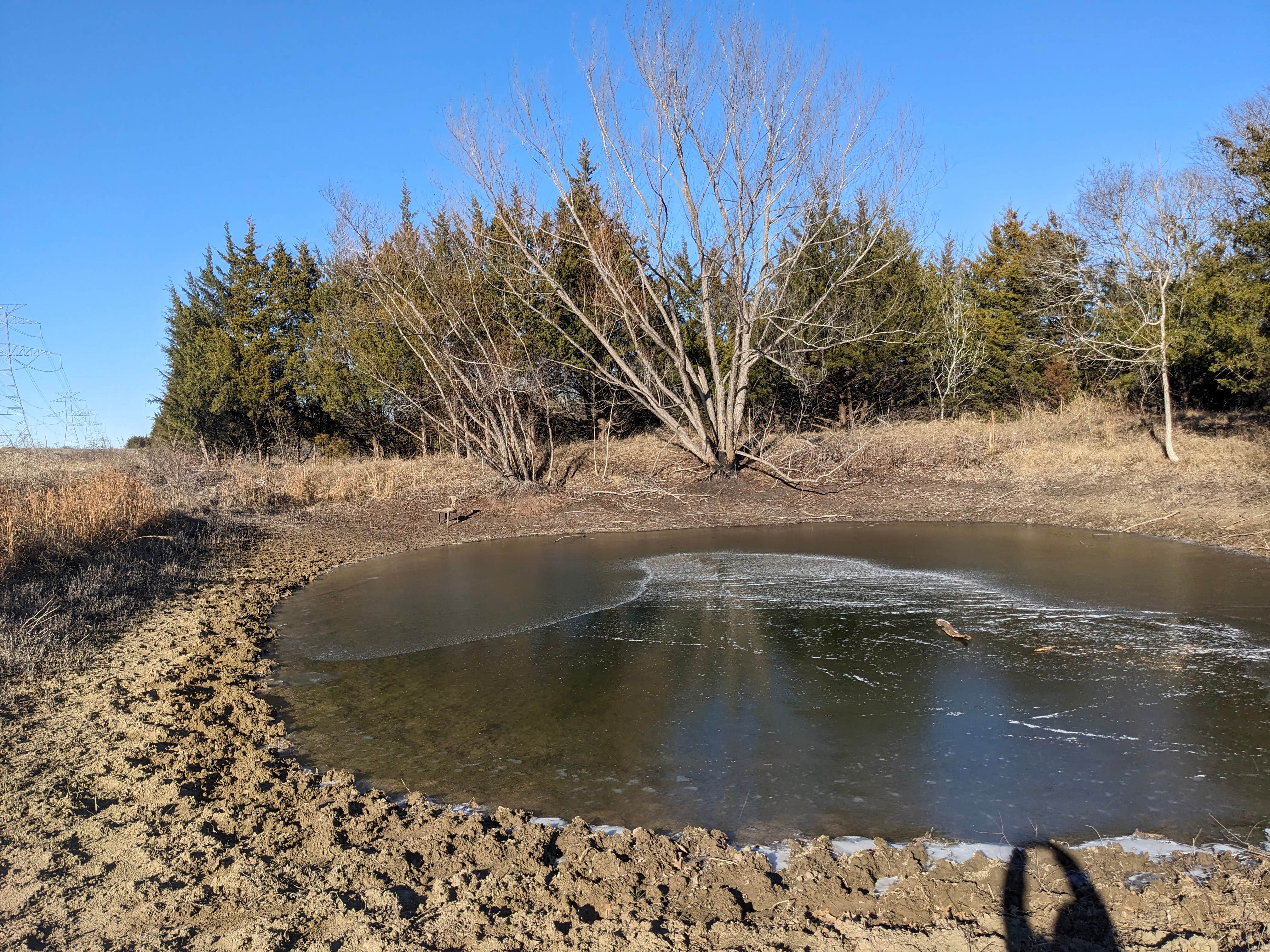 Camper-submitted photo at Lazy Days near Bonham, TX