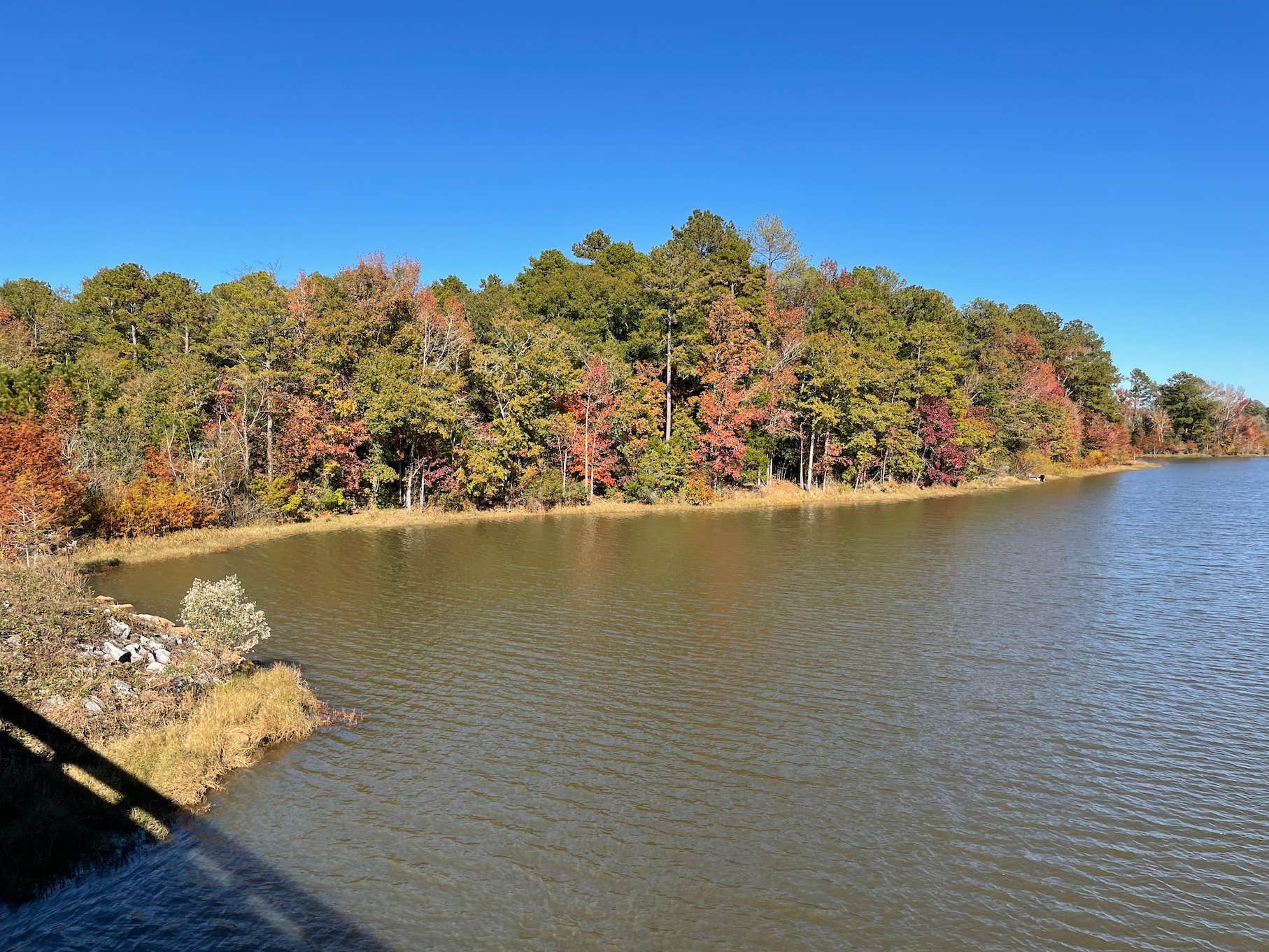 Camping near Nowhere RV Park: Pataula Creek RV, Fort Gaines, Georgia