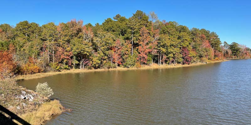 Camper submitted image from Pataula Creek RV