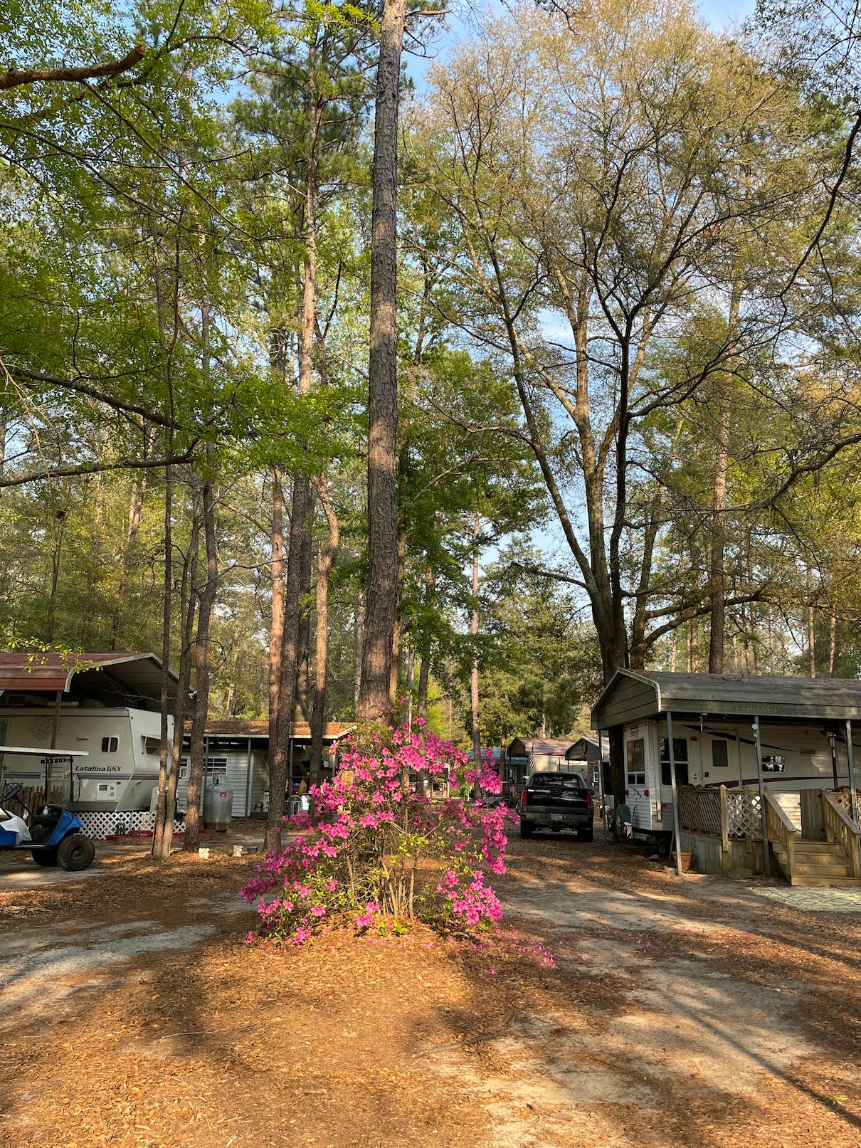 Camper-submitted photo at Pataula Creek RV near Walter F. George Lake