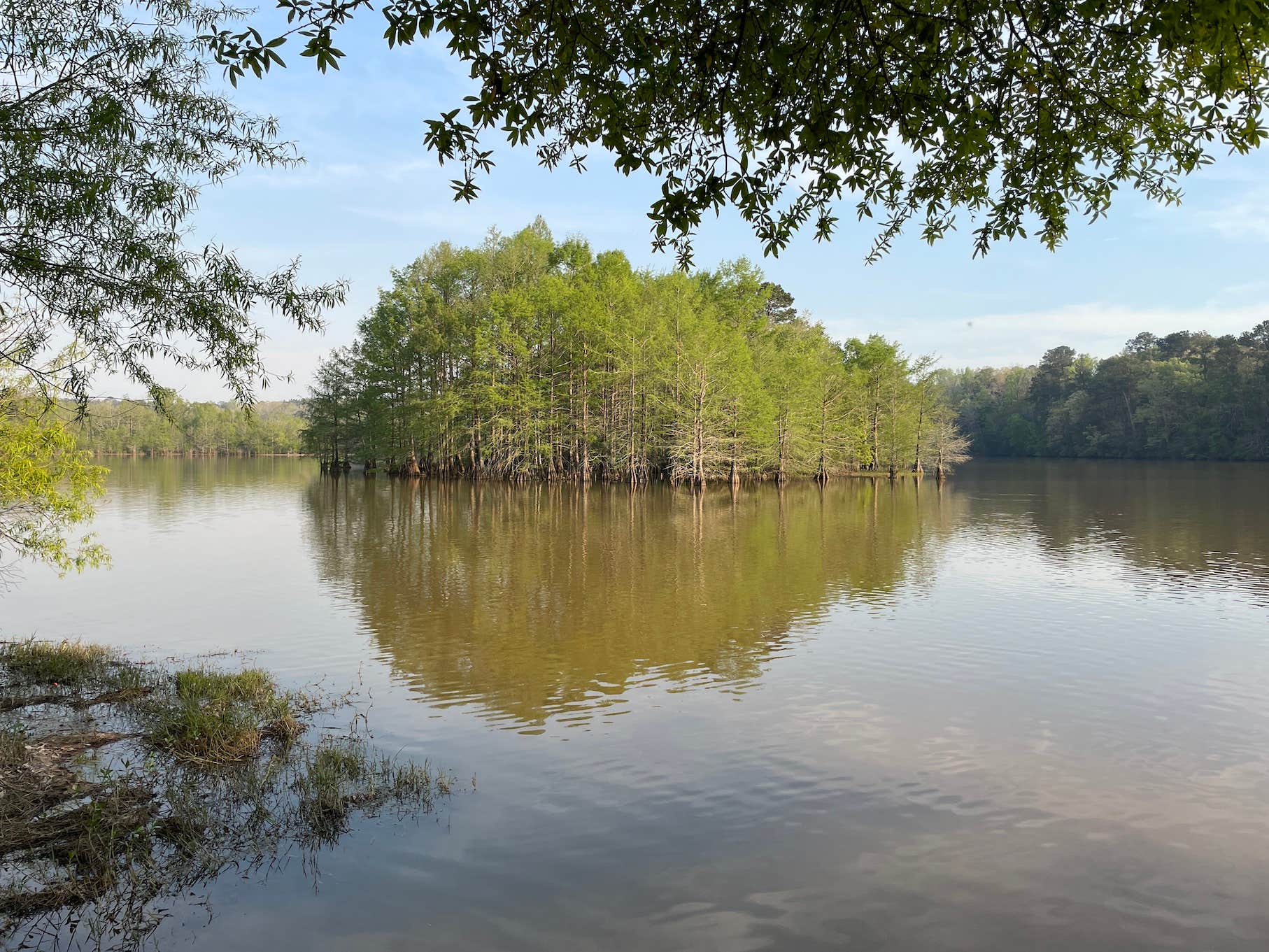 Camper-submitted photo at Pataula Creek RV near Walter F. George Lake