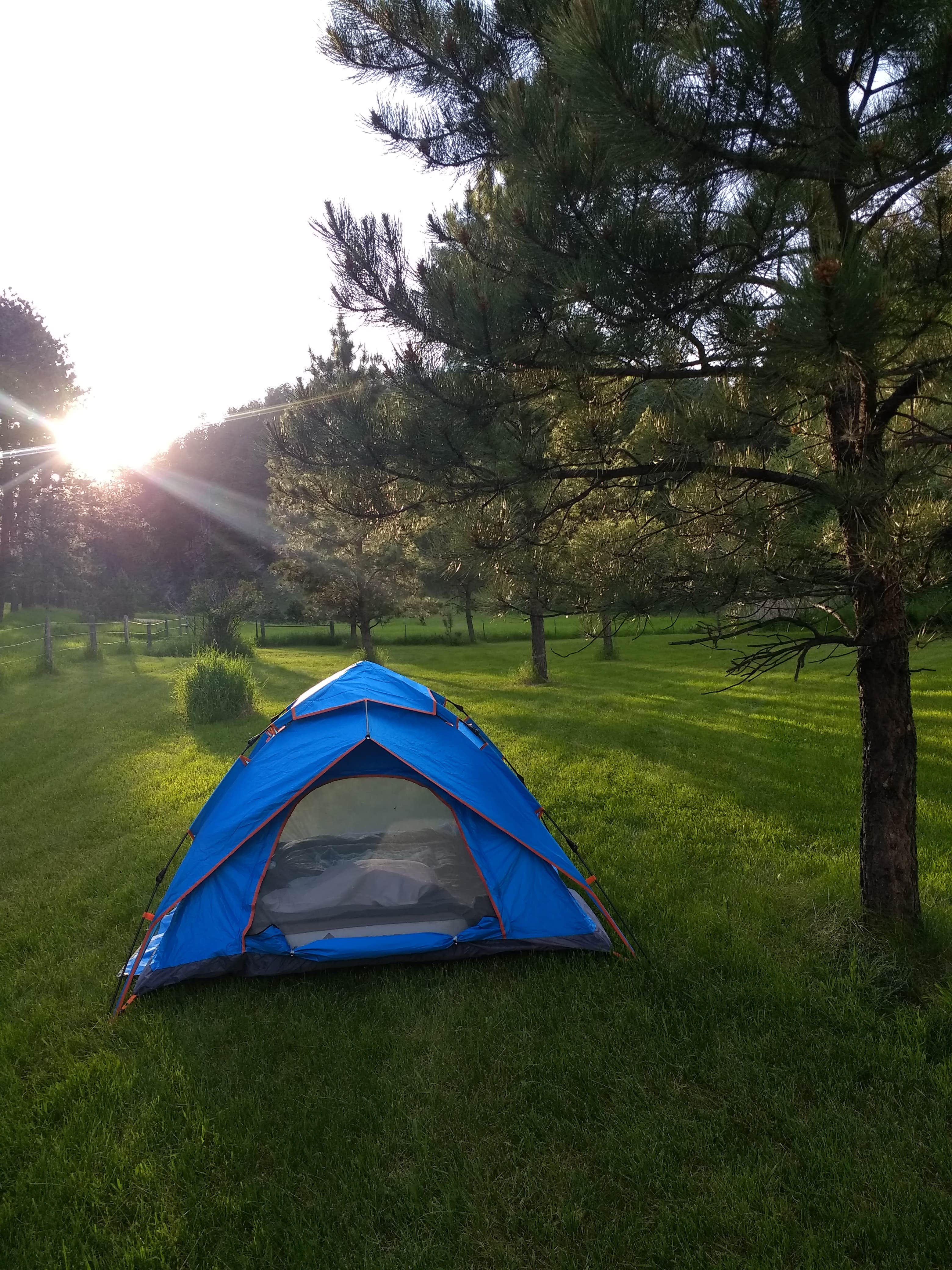 Isa K.'s photo at Plenty Star Ranch - CLOSED near Wind Cave National Park
