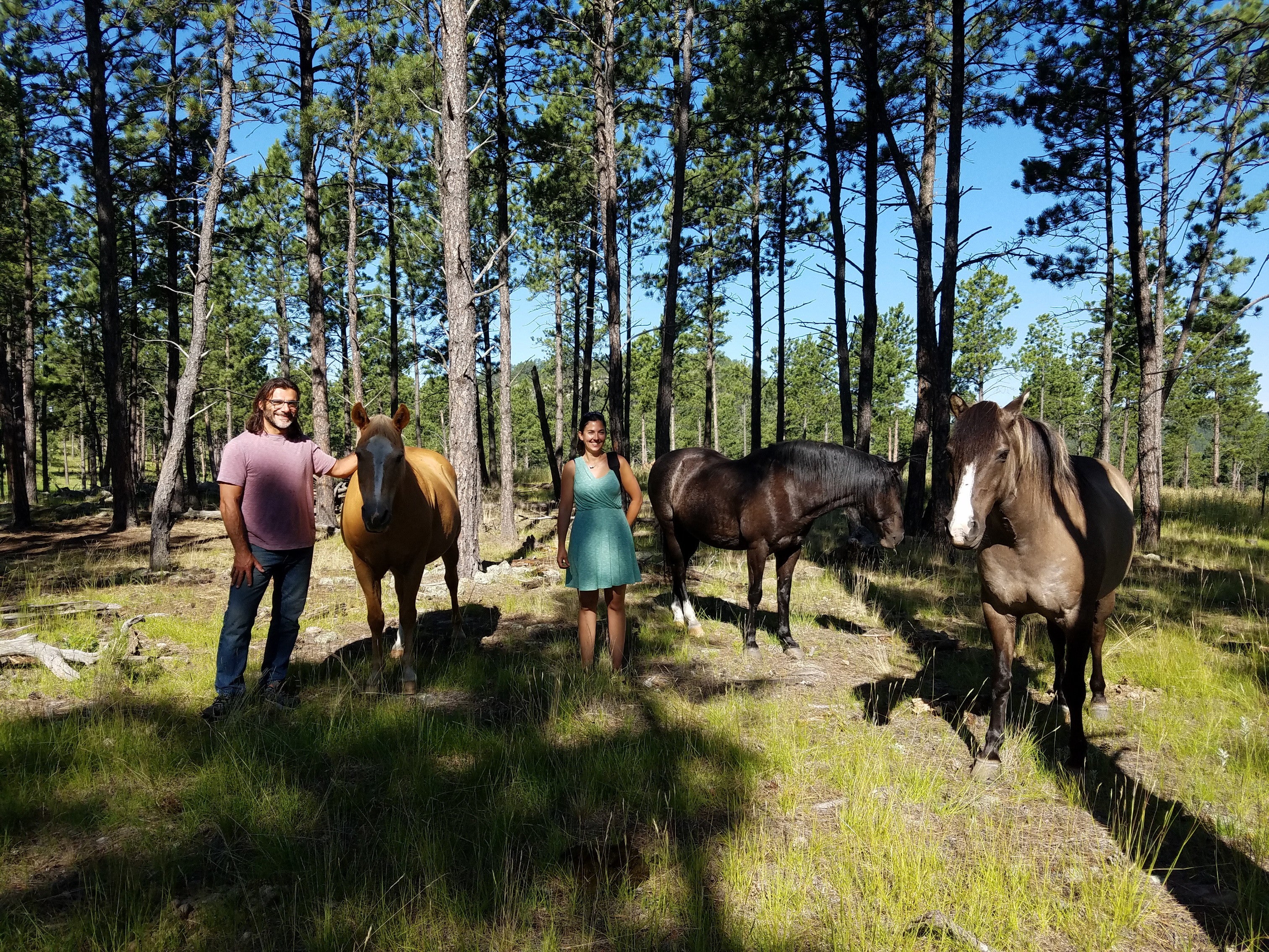 Camping guests visiting with our horses 2018