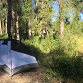 Review photo of Gros Ventre Campground — Grand Teton National Park by Stephanie Z., August 23, 2016