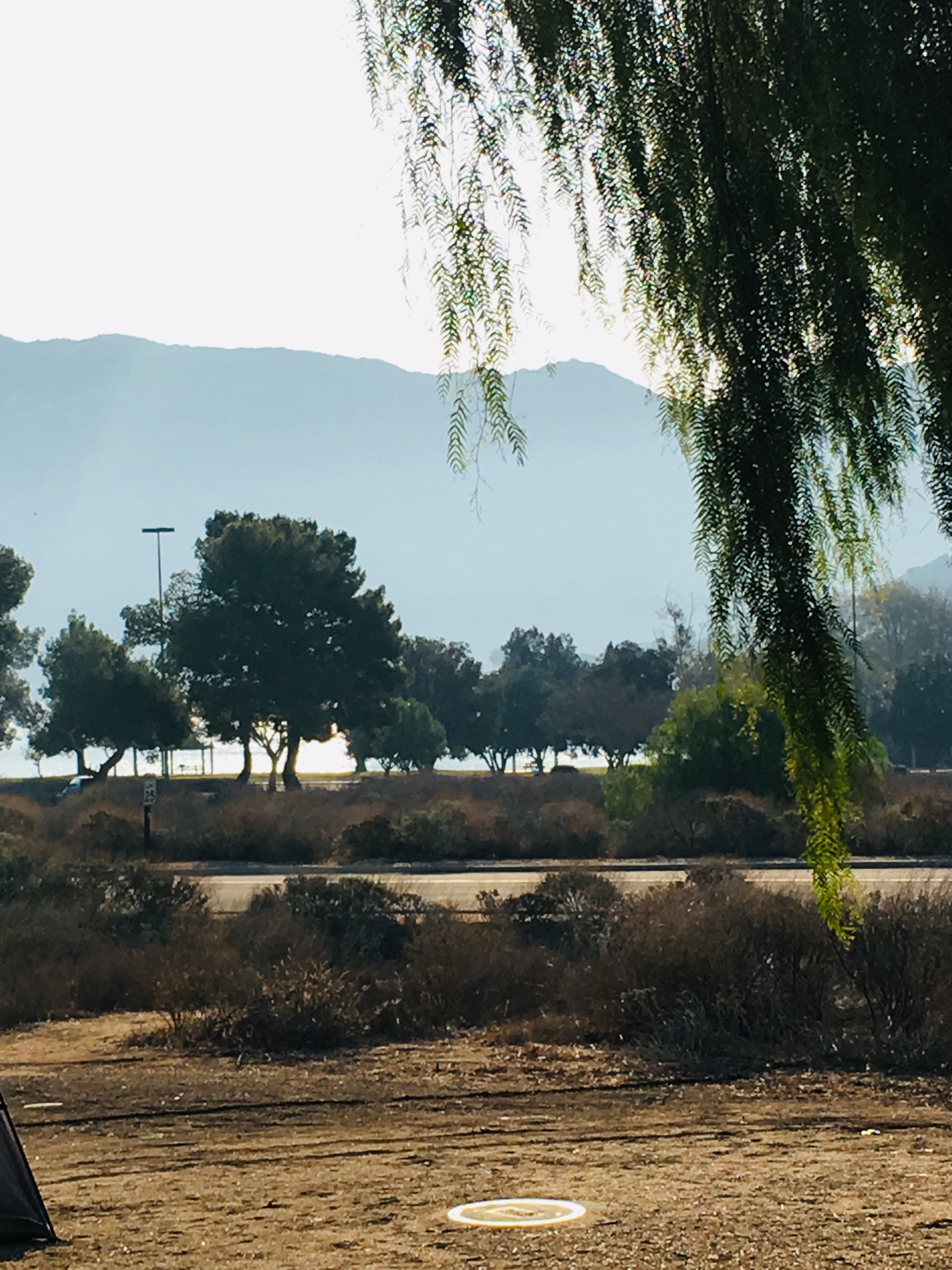 Camper submitted image from Lake Perris State Recreational Area Campground - 2