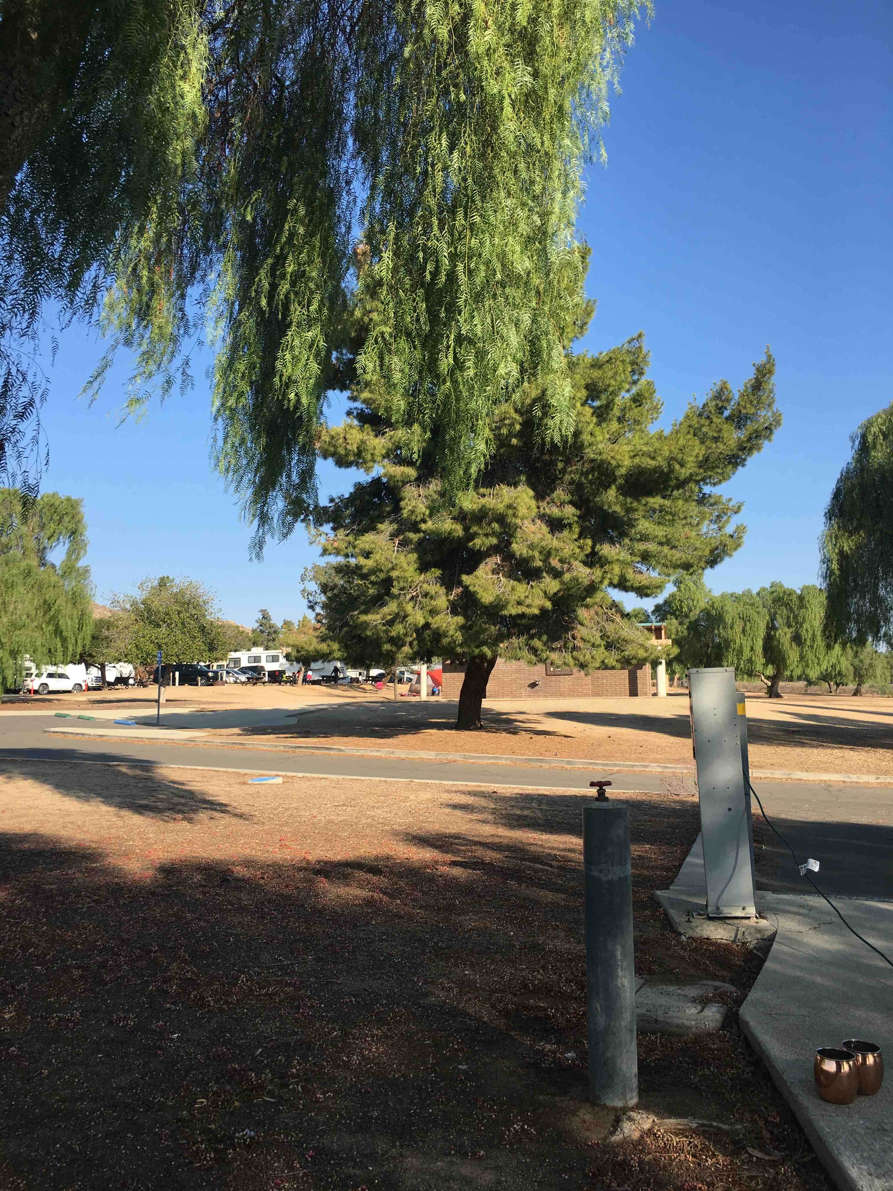 Camper submitted image from Lake Perris State Recreational Area Campground - 2
