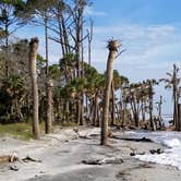 Review photo of Hunting Island State Park Campground by Katrin M., November 12, 2018