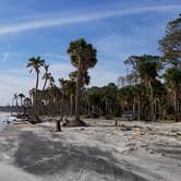 Review photo of Hunting Island State Park Campground by Katrin M., November 12, 2018