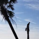 Review photo of Hunting Island State Park Campground by Katrin M., November 12, 2018