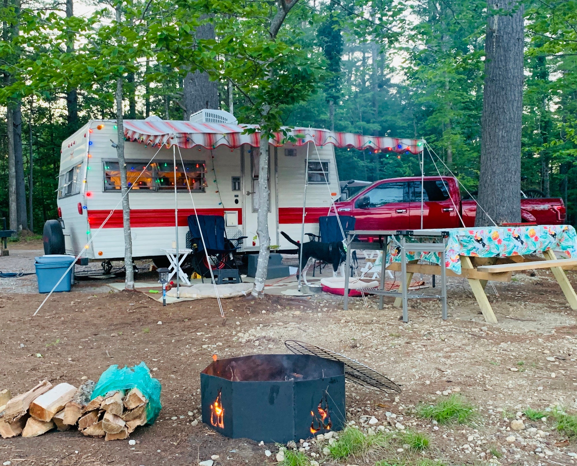 Camper submitted image from Lone Mountain River Front Campground - 2