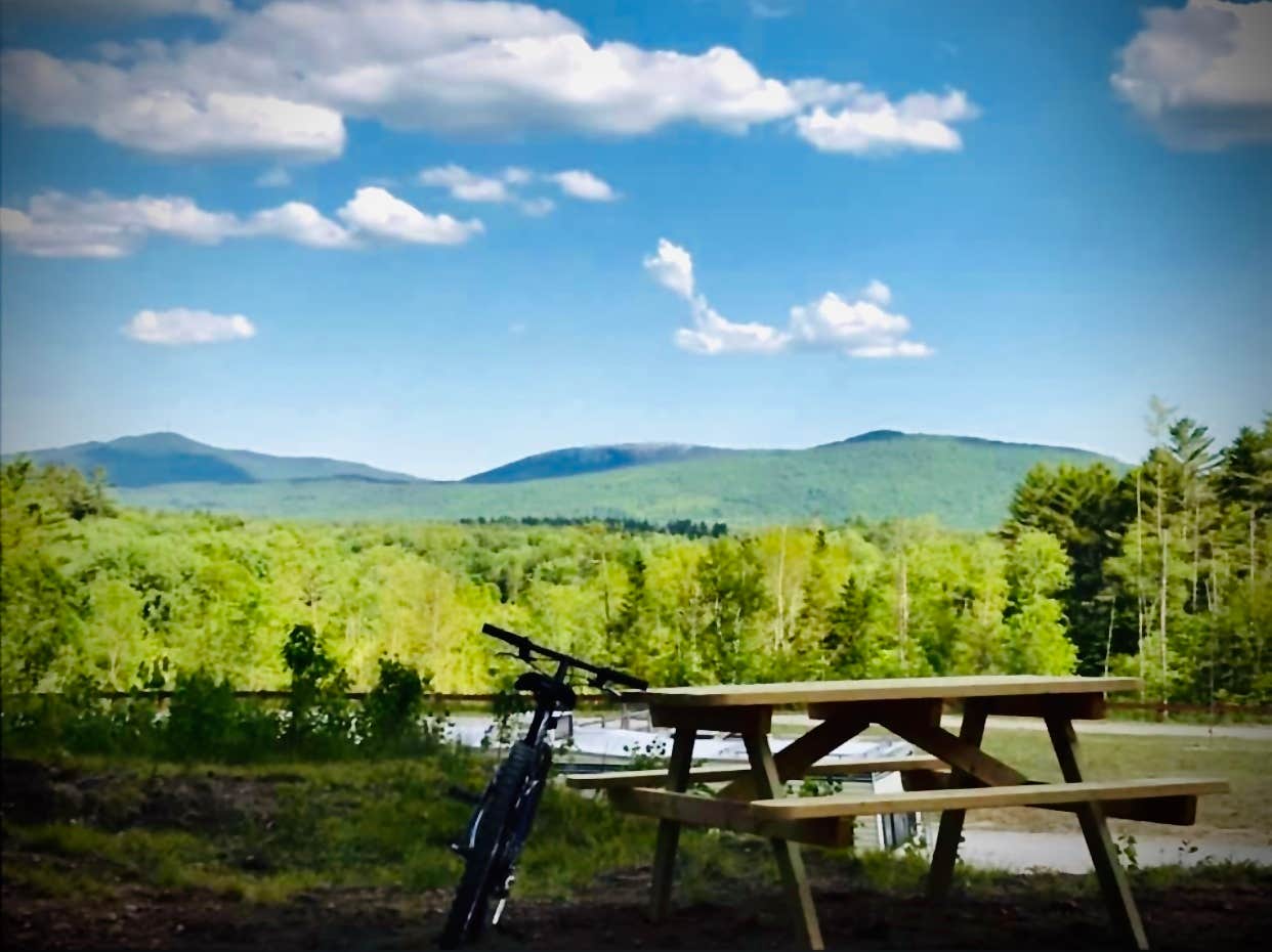 Camper submitted image from Lone Mountain River Front Campground - 1