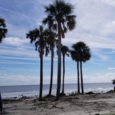 Review photo of Hunting Island State Park Campground by Katrin M., November 12, 2018