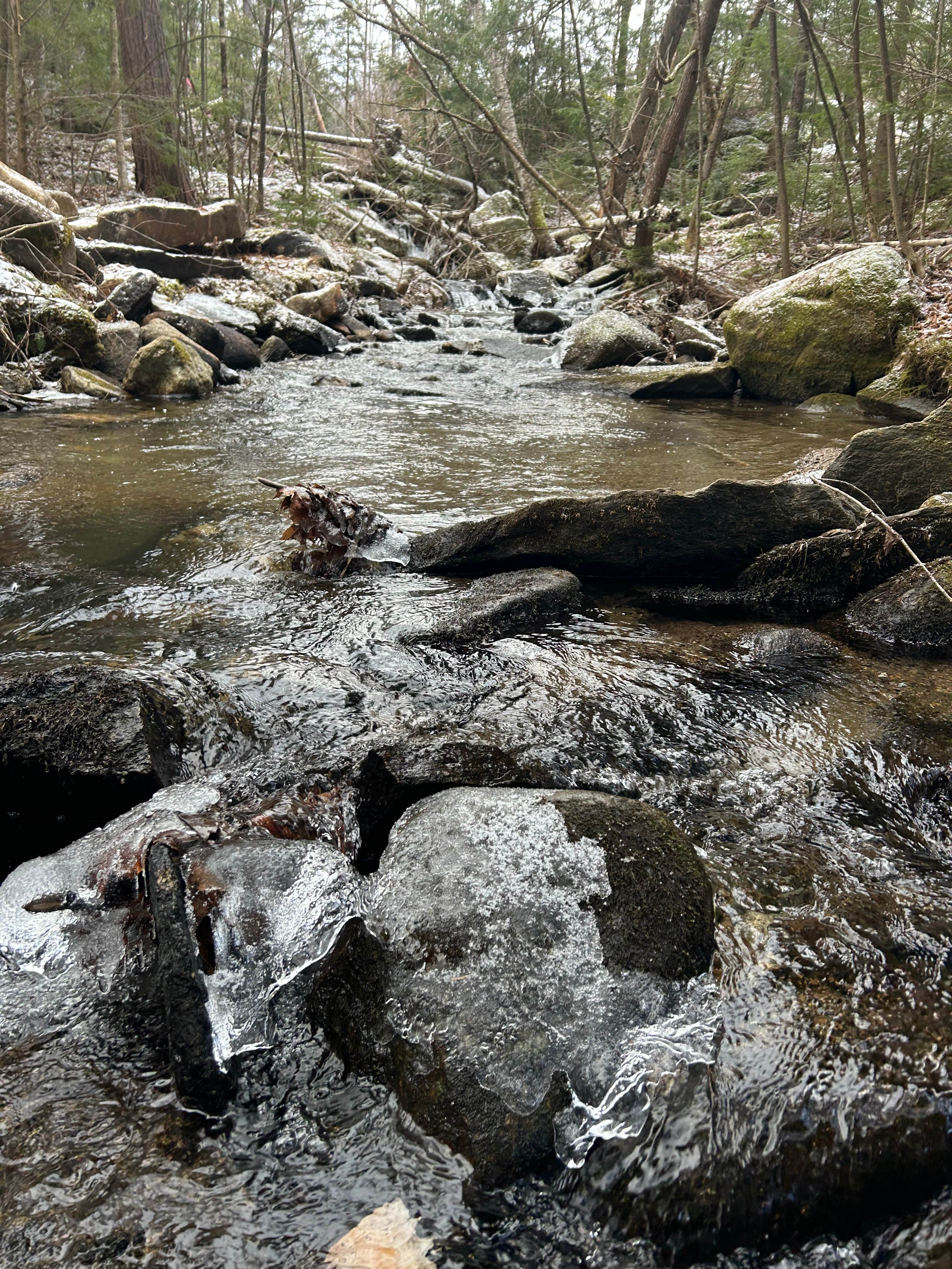 Camper submitted image from Dugout Hideaway - Granny Clark Brook - 2