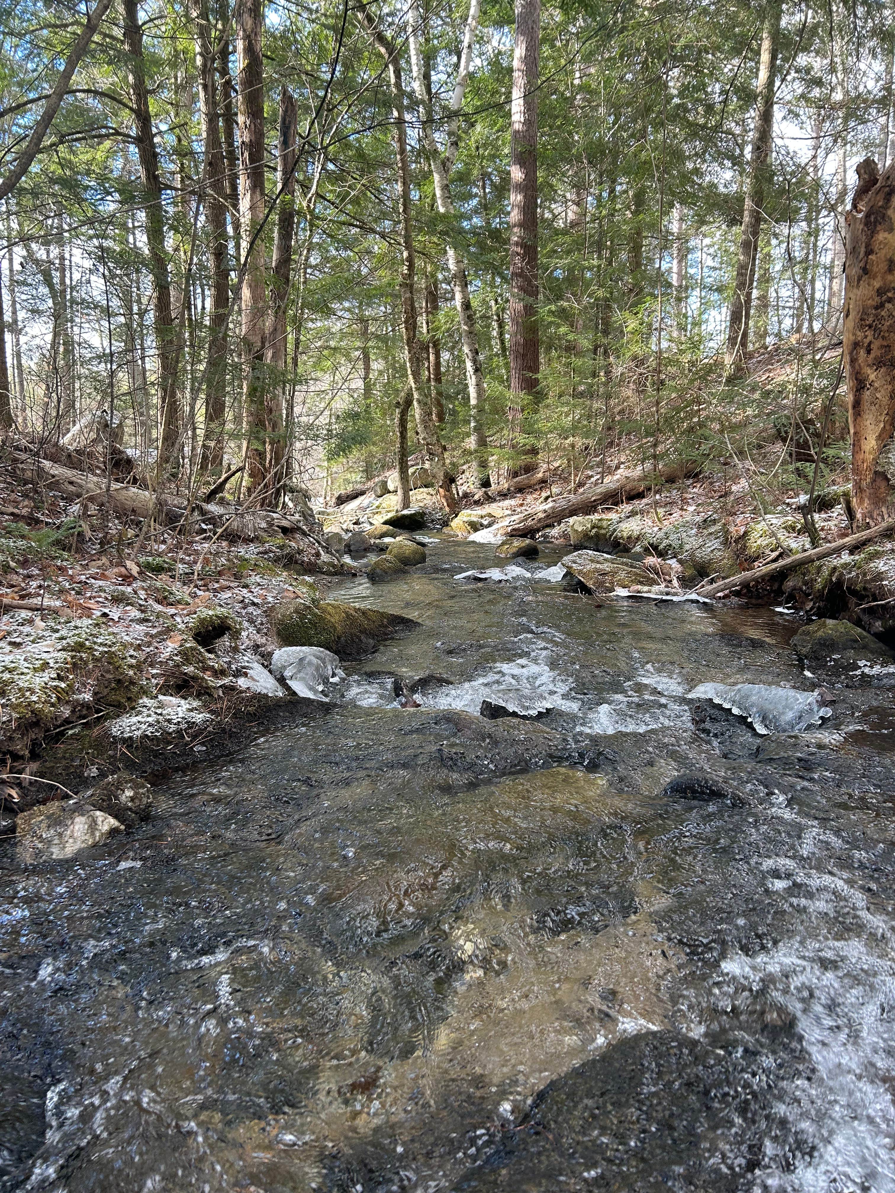 Camper-submitted photo at Dugout Hideaway @ Granny Clark Brook near Benton, NH