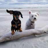 Review photo of Hunting Island State Park Campground by Katrin M., November 12, 2018
