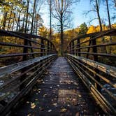 Review photo of North Mills River by Jonathan N., November 12, 2018