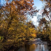 Review photo of North Mills River by Jonathan N., November 12, 2018