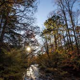 Review photo of North Mills River by Jonathan N., November 12, 2018