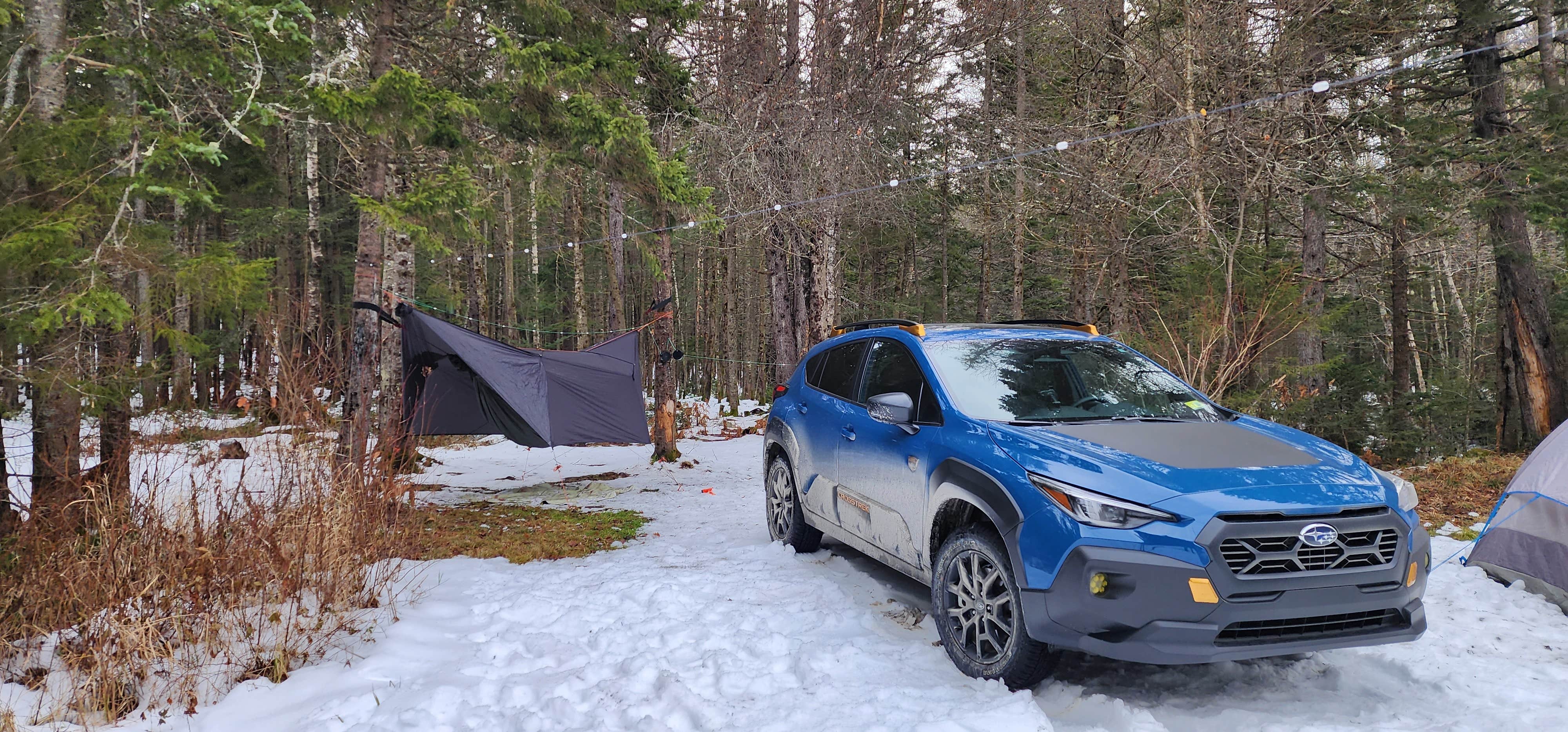 Camper-submitted photo at NF 83 - riverside near Whately, MA