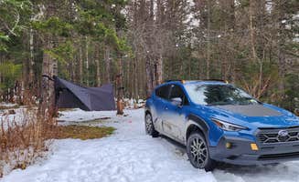 Miccal  M.'s photo of a dispersed camping area at NF 83 - riverside near Greenfield, MA