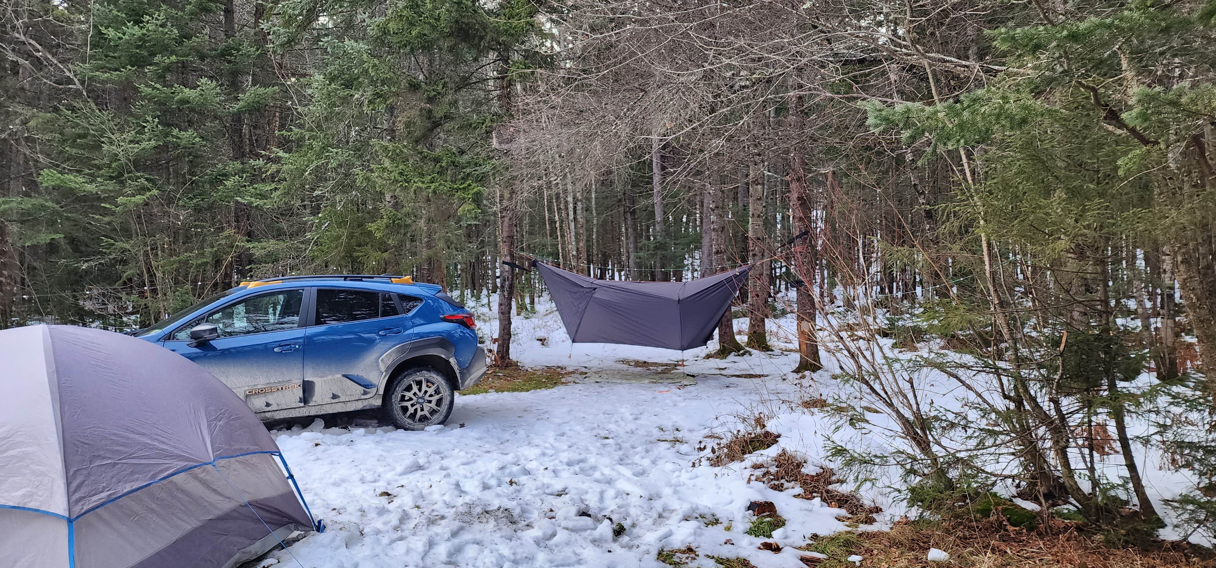 Camper-submitted photo at NF 83 - riverside near Whately, MA