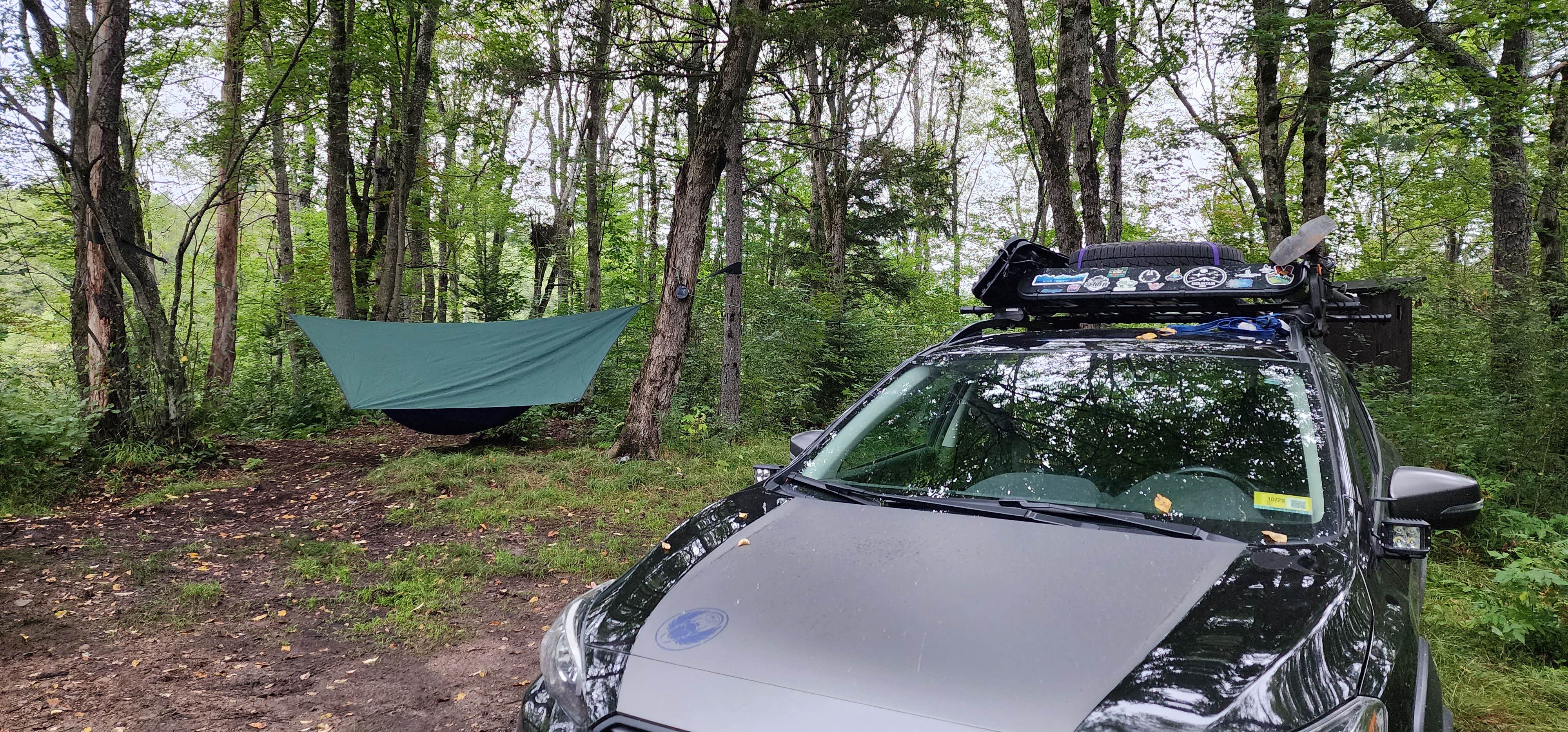 Camper-submitted photo at Moose River Plains near Blue Mountain Lake, NY