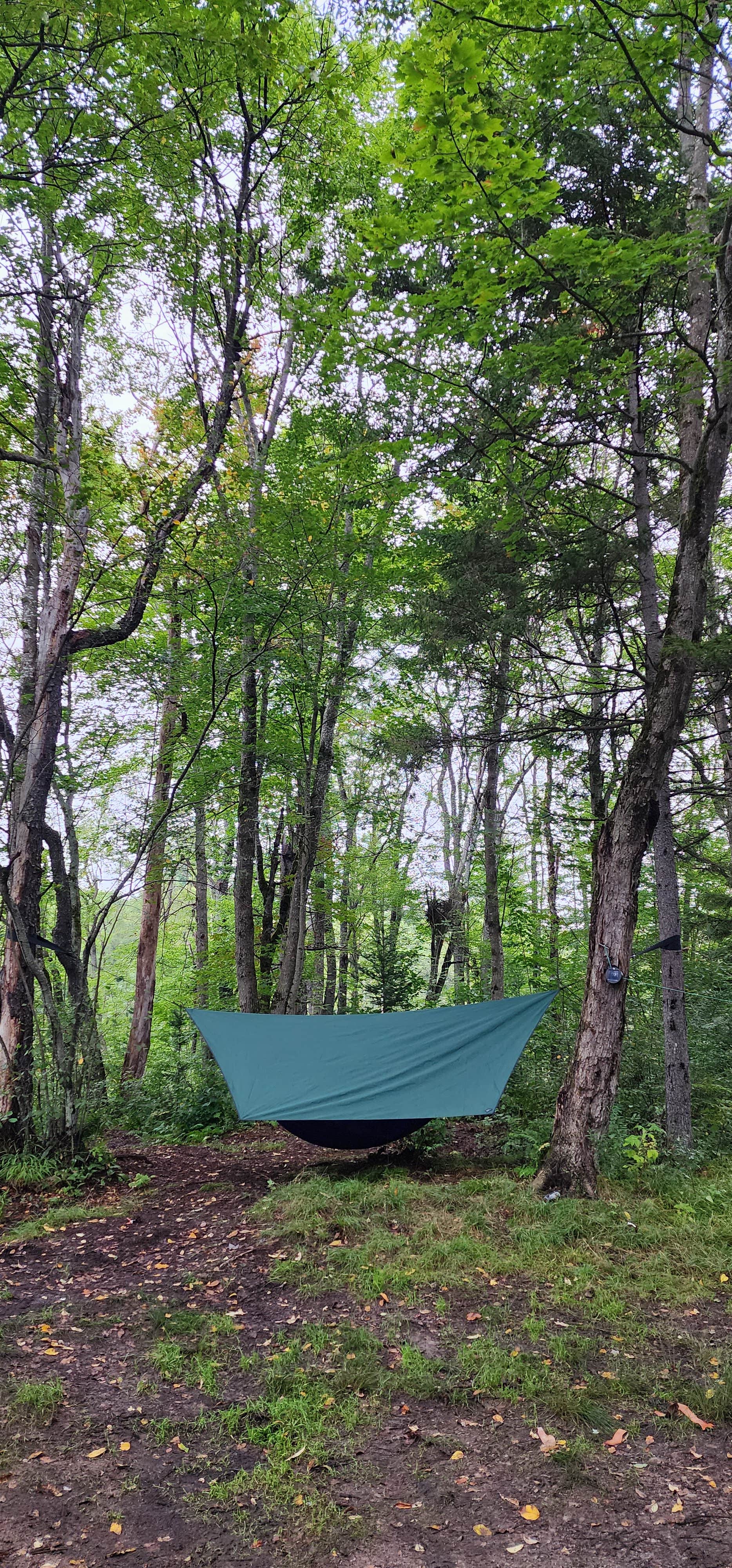 Camper-submitted photo at Moose River Plains near Blue Mountain Lake, NY