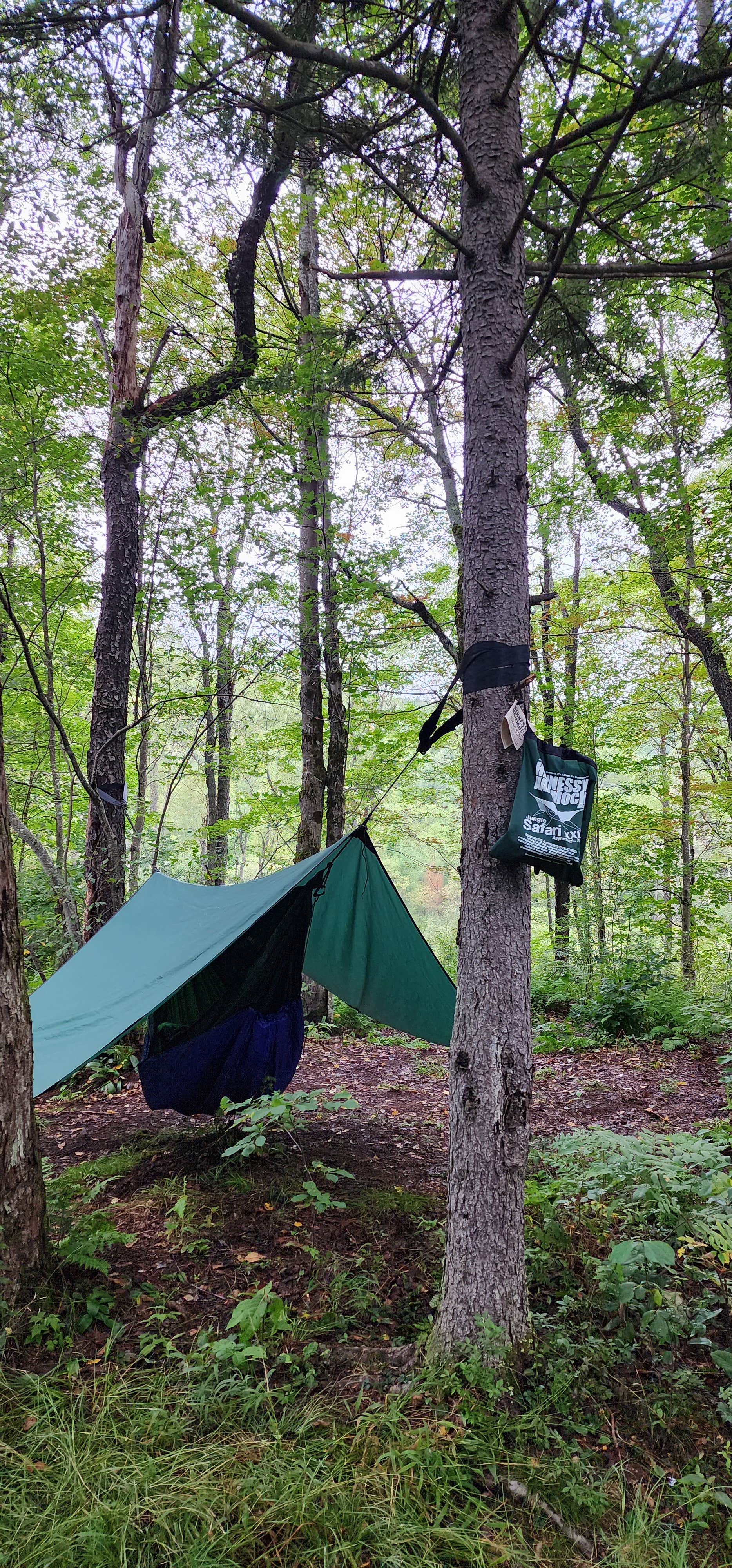 Camper-submitted photo at Moose River Plains near Blue Mountain Lake, NY