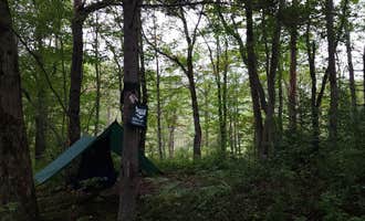 Camping near Powley Road in Ferris Wild Forest: Moose River Plains, Raquette Lake, New York