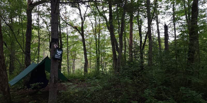 Camper submitted image from Moose River Plains