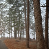 Review photo of Lake Ouachita State Park Campground by Melissa W., January 18, 2024