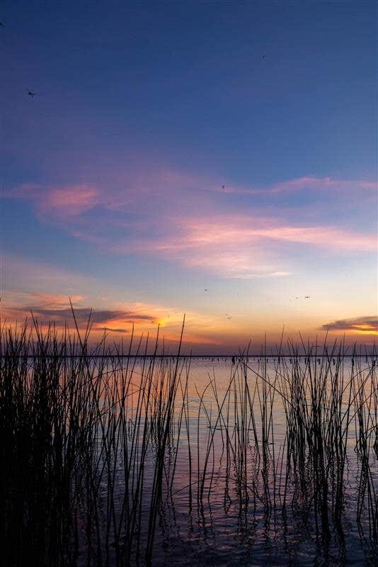 Camper-submitted photo at Pine Island RV & Marina near Ocala National Forest