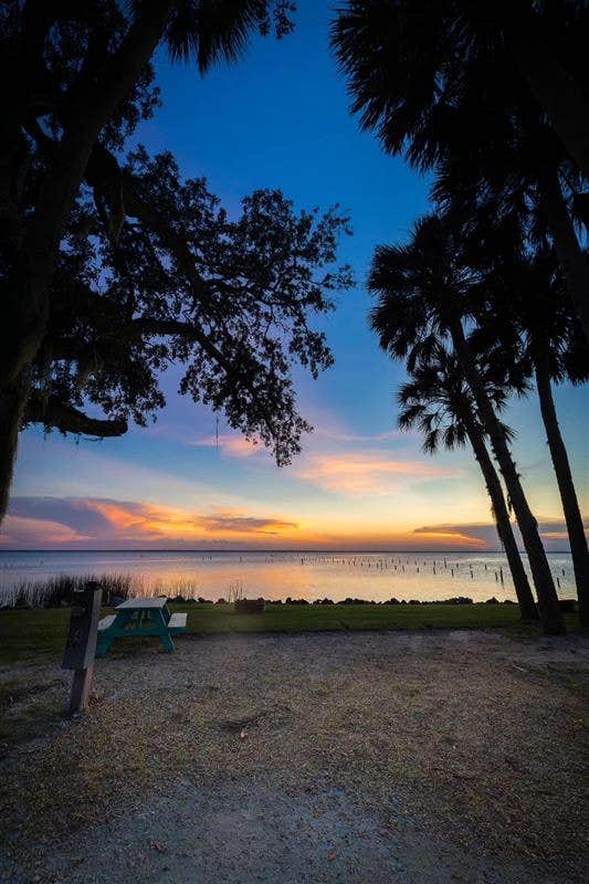Camper-submitted photo at Pine Island RV & Marina near Ocala National Forest