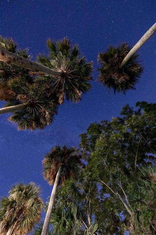 Camper-submitted photo at Pine Island RV & Marina near Ocala National Forest