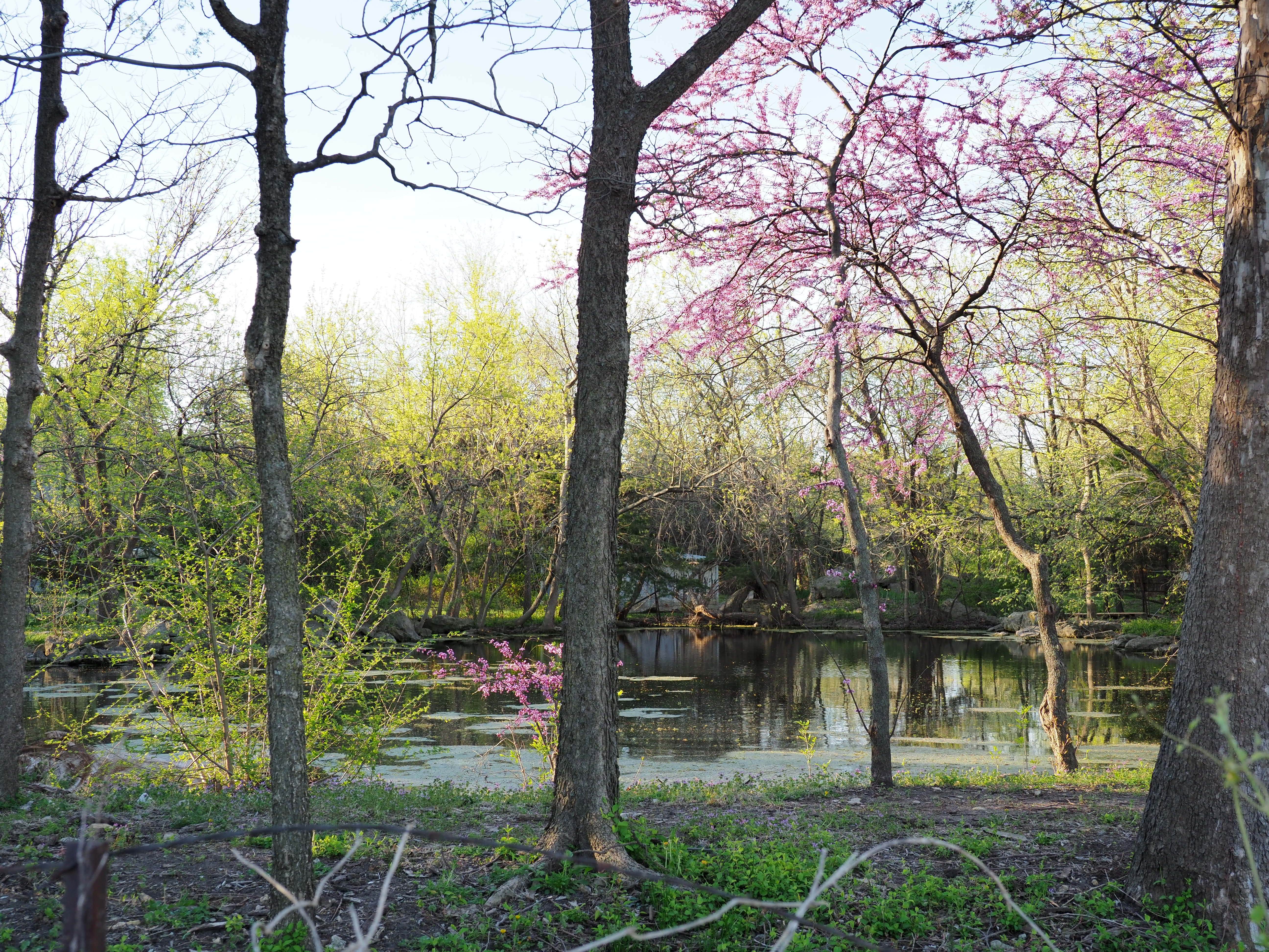 Camper-submitted photo at Deer Grove RV Park near Augusta, KS