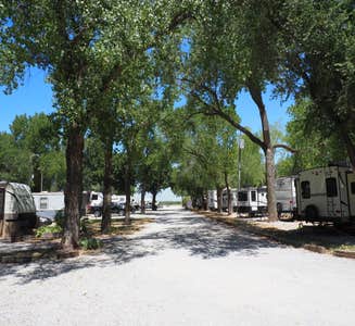 Camper-submitted photo from Deer Grove RV Park